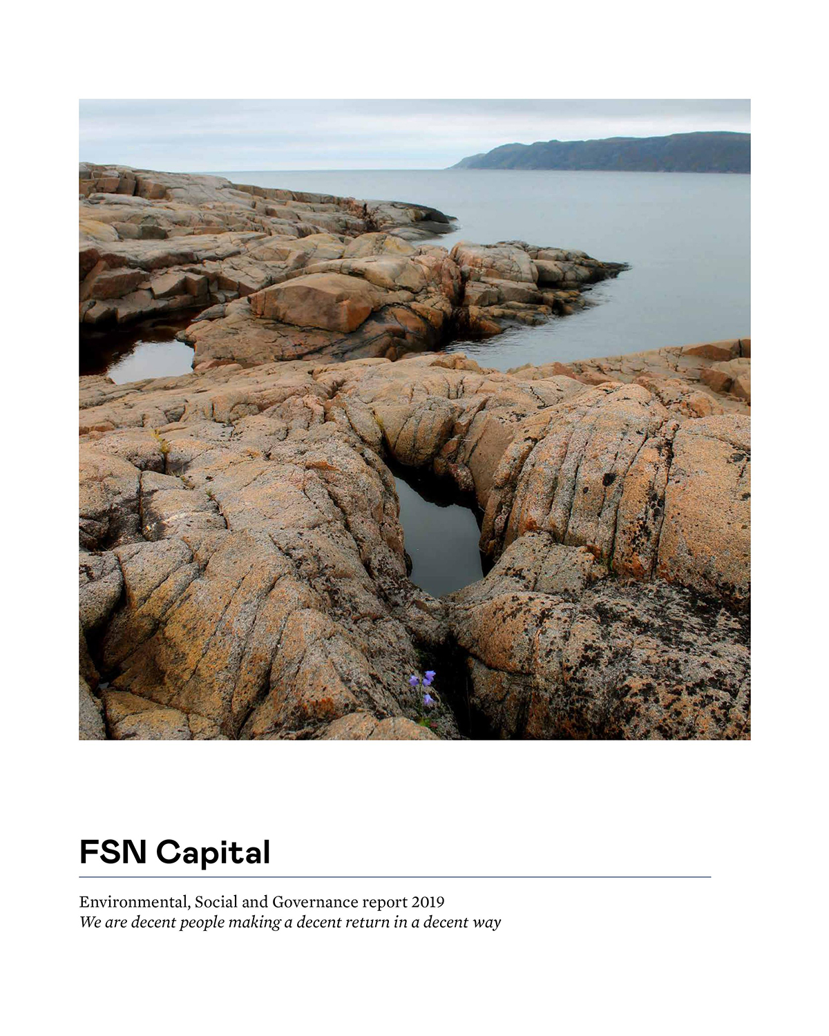 FSN Capital ESG report 2019