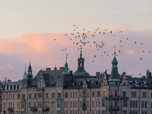 fsn-capital-stockholm FSN Capital